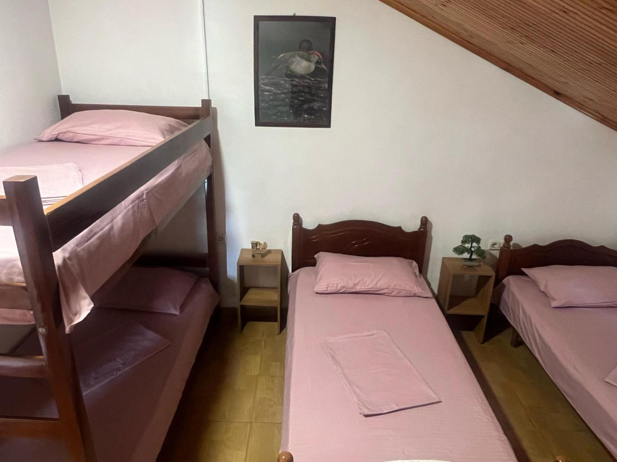 Happy Corner Guest House Shkodër Eksteriør billede