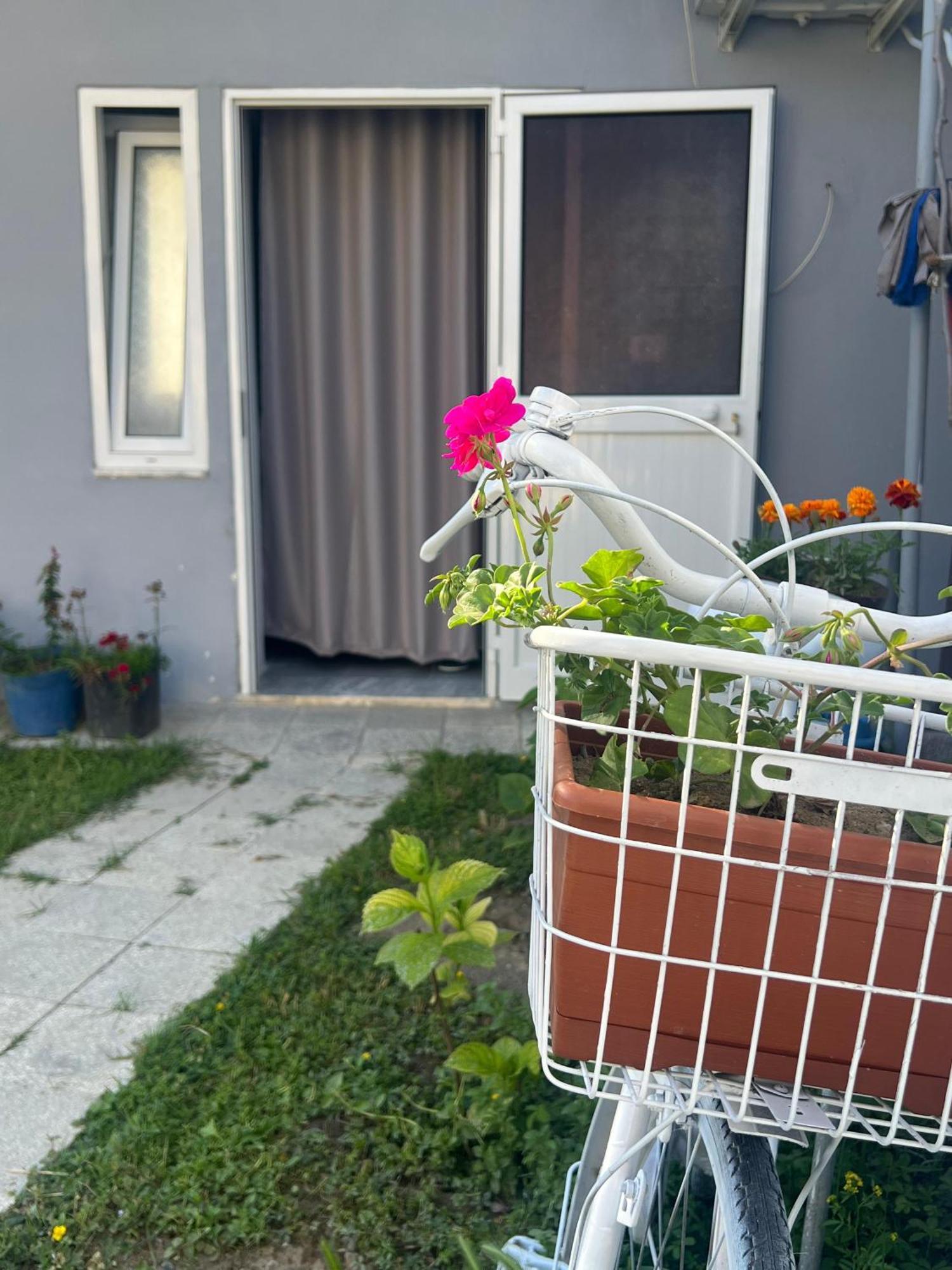 Happy Corner Guest House Shkodër Eksteriør billede